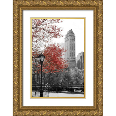 Central Park with Red Tree Gold Ornate Wood Framed Art Print with Double Matting by Navas, Emily