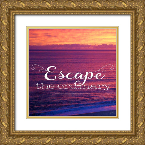Escape The Ordinary Gold Ornate Wood Framed Art Print with Double Matting by Metz, Andi