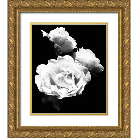 Dramatic Love Blooms  I Gold Ornate Wood Framed Art Print with Double Matting by Navas, Emily