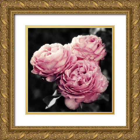 Pink Florals in Noir Gold Ornate Wood Framed Art Print with Double Matting by Navas, Emily