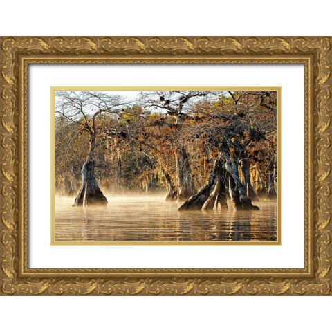 Cypress Creek I Gold Ornate Wood Framed Art Print with Double Matting by Nawrocke, Bruce