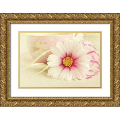 Soft Rose Daisy Gold Ornate Wood Framed Art Print with Double Matting by Gardner, Sarah