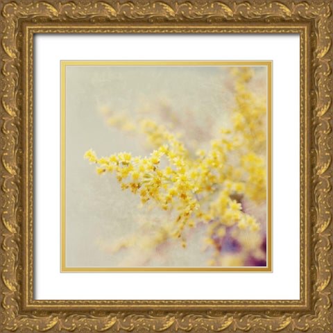 Yellow Blooms in Spring Gold Ornate Wood Framed Art Print with Double Matting by Gardner, Sarah