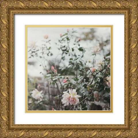 Spring Views Gold Ornate Wood Framed Art Print with Double Matting by Gardner, Sarah