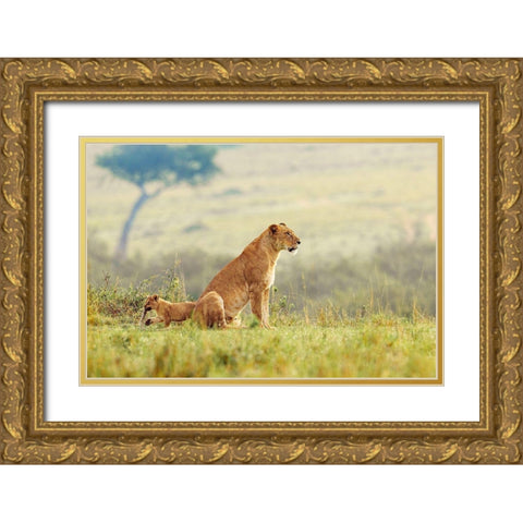 A Lions Tail Gold Ornate Wood Framed Art Print with Double Matting by Lake, Shelley