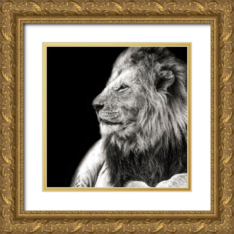 King Of The Jungle on Black Gold Ornate Wood Framed Art Print with Double Matting by Lake, Shelley