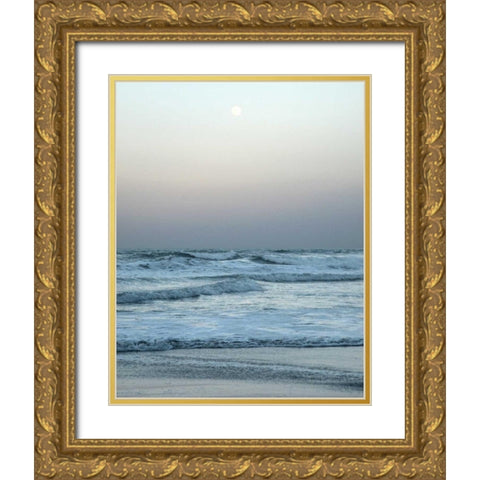 Daytona Gray I Gold Ornate Wood Framed Art Print with Double Matting by Nawrocke, Bruce
