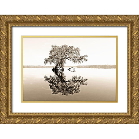 Reflective View Gold Ornate Wood Framed Art Print with Double Matting by Nawrocke, Bruce