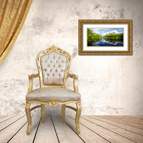 River Flow Gold Ornate Wood Framed Art Print with Double Matting by Nawrocke, Bruce