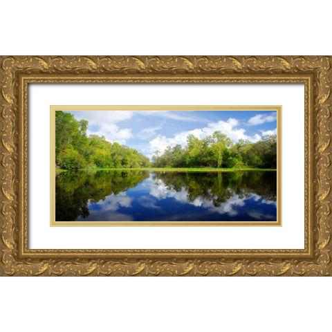 River Flow Gold Ornate Wood Framed Art Print with Double Matting by Nawrocke, Bruce