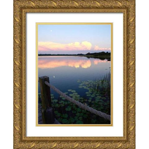 Lake Saunders II Gold Ornate Wood Framed Art Print with Double Matting by Nawrocke, Bruce