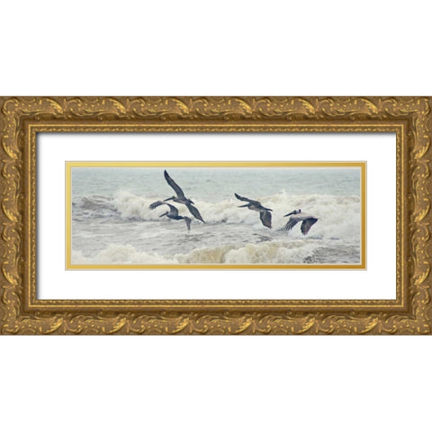 Pelican Panel I Gold Ornate Wood Framed Art Print with Double Matting by Nawrocke, Bruce