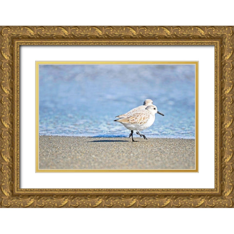 Walk Along The Coast Gold Ornate Wood Framed Art Print with Double Matting by Nawrocke, Bruce