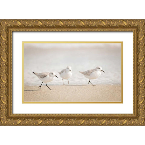 Stroll On Gold Ornate Wood Framed Art Print with Double Matting by Nawrocke, Bruce
