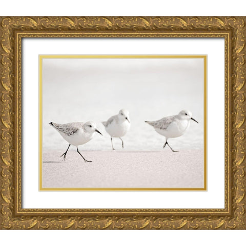 Side by Side Gold Ornate Wood Framed Art Print with Double Matting by Nawrocke, Bruce