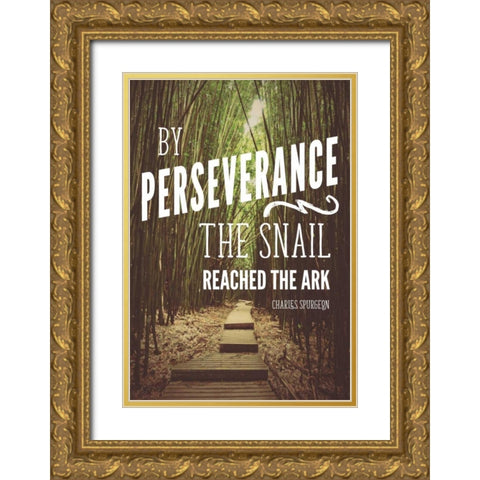 Perseverance Gold Ornate Wood Framed Art Print with Double Matting by Nawrocke, Bruce
