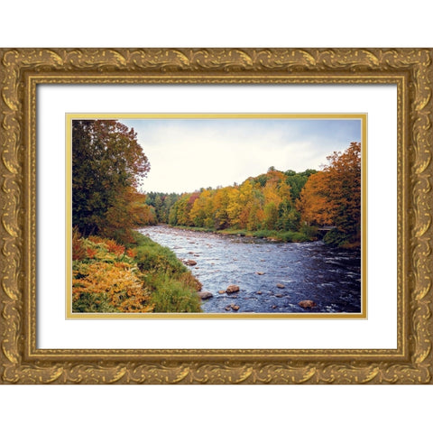Scenic River Gold Ornate Wood Framed Art Print with Double Matting by Poynter, Kelly