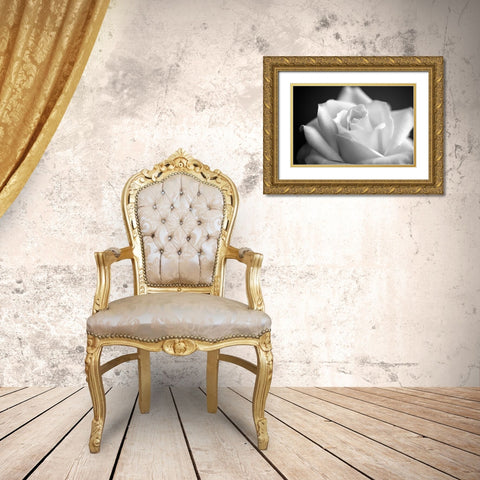 Blooming White Rose Gold Ornate Wood Framed Art Print with Double Matting by Bill Carson Photography