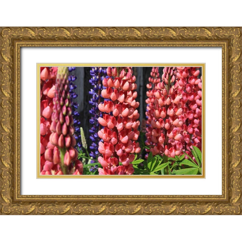 Joyful Flowers Gold Ornate Wood Framed Art Print with Double Matting by Coppel, Anna