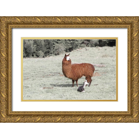 Llama Mama Gold Ornate Wood Framed Art Print with Double Matting by Coppel, Anna