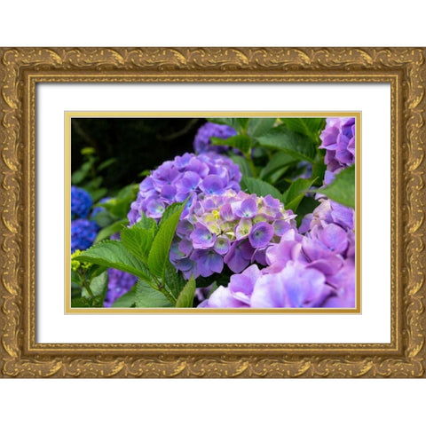 My Garden Blooms Gold Ornate Wood Framed Art Print with Double Matting by Bonnett, Stede