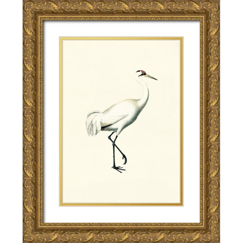 Bird III on Cream Gold Ornate Wood Framed Art Print with Double Matting by Piddix