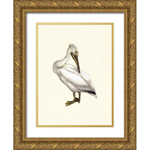 Bird IV on Cream Gold Ornate Wood Framed Art Print with Double Matting by Piddix