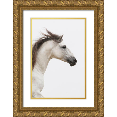 Straight Ahead Gold Ornate Wood Framed Art Print with Double Matting by Walker, Carol