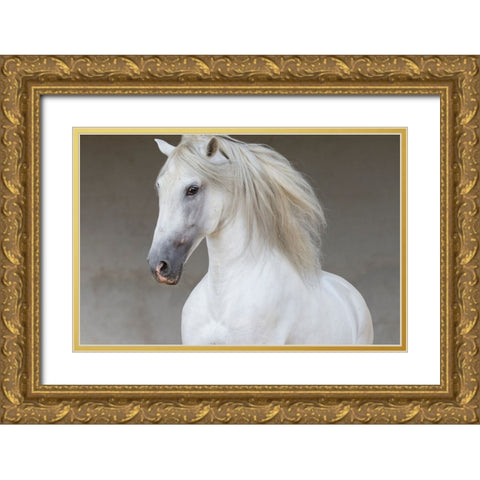 Calm Beauty Gold Ornate Wood Framed Art Print with Double Matting by Walker, Carol