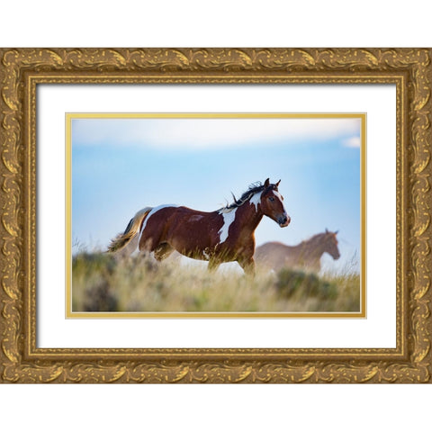 Eye Of The Horse Gold Ornate Wood Framed Art Print with Double Matting by Walker, Carol