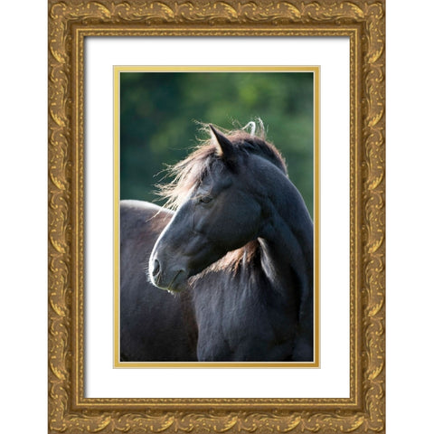 Mystic One Gold Ornate Wood Framed Art Print with Double Matting by Walker, Carol