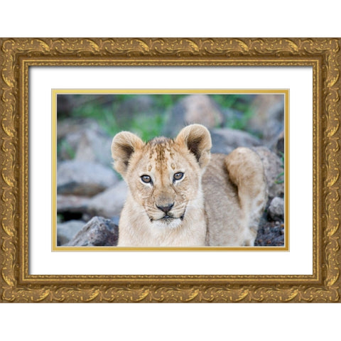 Up Close With Nature Gold Ornate Wood Framed Art Print with Double Matting by Walker, Carol