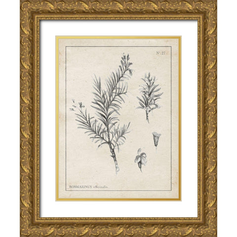 Latin Botanicals I Gold Ornate Wood Framed Art Print with Double Matting by Gaynor, Janice
