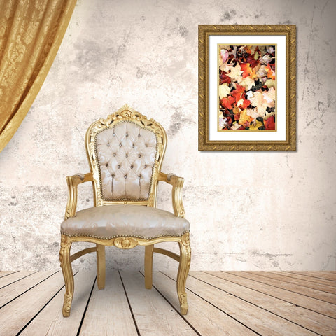 Autumn Falls Gold Ornate Wood Framed Art Print with Double Matting by Peck, Gail