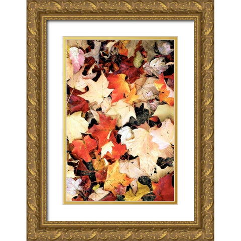 Autumn Falls Gold Ornate Wood Framed Art Print with Double Matting by Peck, Gail