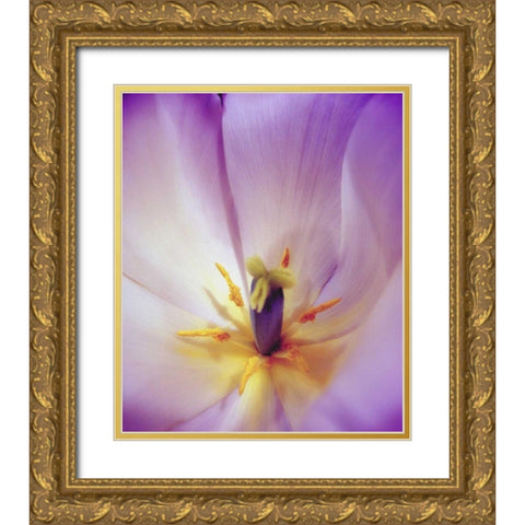 Radiant Gold Ornate Wood Framed Art Print with Double Matting by Peck, Gail