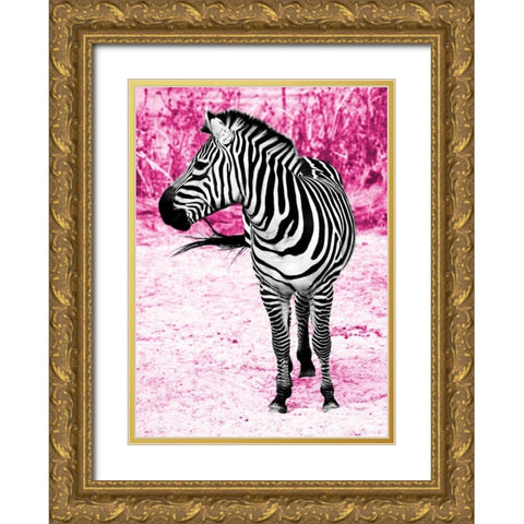 Zebra Set Free Gold Ornate Wood Framed Art Print with Double Matting by Peck, Gail