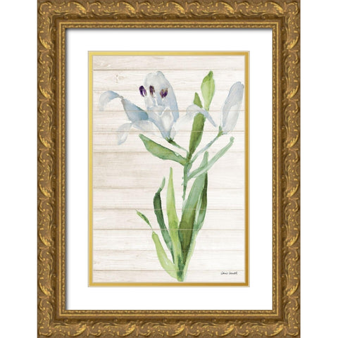 Soft Blue Paradise Lily Gold Ornate Wood Framed Art Print with Double Matting by Loreth, Lanie