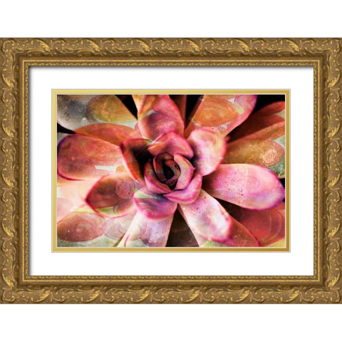 Painted Succulent Gold Ornate Wood Framed Art Print with Double Matting by James, Nola