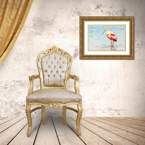 Roseatte Spoonbill Gold Ornate Wood Framed Art Print with Double Matting by Lake, Shelley