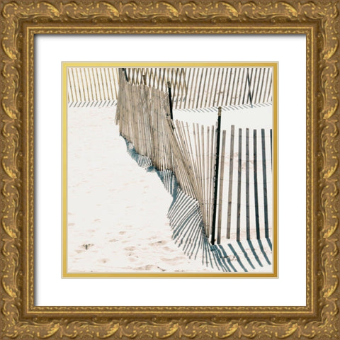 Beach Fence I Gold Ornate Wood Framed Art Print with Double Matting by Biscardi, Nicholas