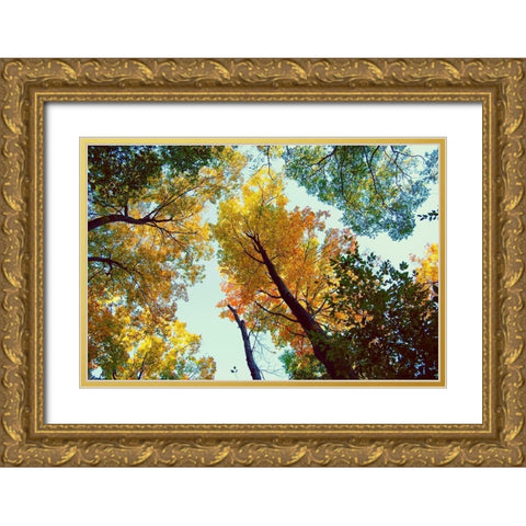 Looking Up Gold Ornate Wood Framed Art Print with Double Matting by Wilson, Kali