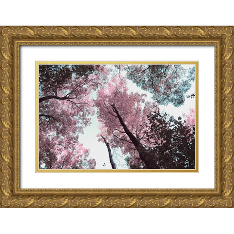 Blooming Cherry Blossom Gold Ornate Wood Framed Art Print with Double Matting by Wilson, Kali