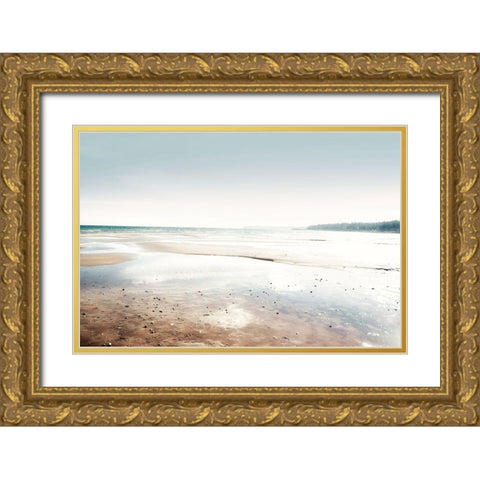 After Storm Gold Ornate Wood Framed Art Print with Double Matting by Wilson, Kali