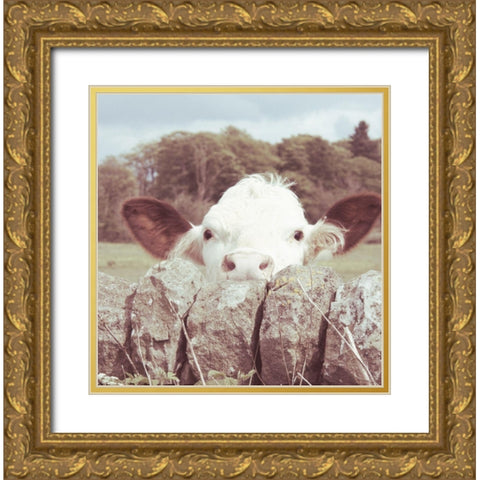 Peek-a-Boo Cow Gold Ornate Wood Framed Art Print with Double Matting by Hyler, JB