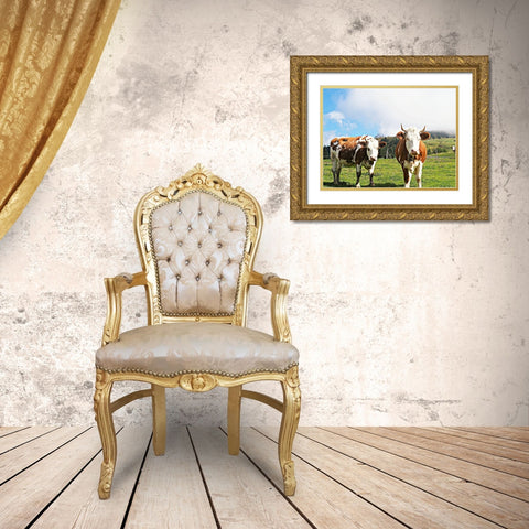 Country Cows Gold Ornate Wood Framed Art Print with Double Matting by Hyler, JB