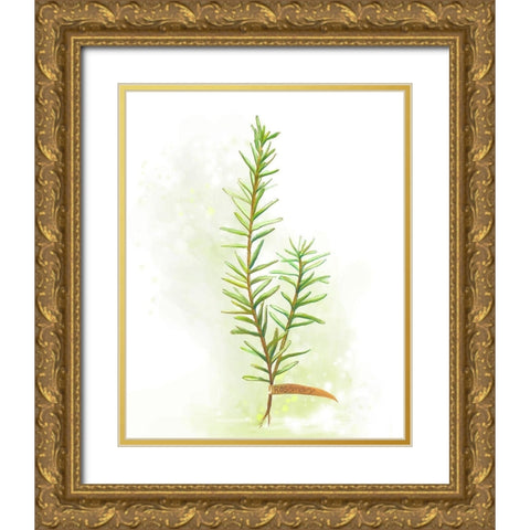 Fresh Herbs II Gold Ornate Wood Framed Art Print with Double Matting by Diannart