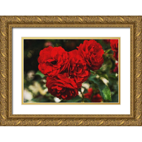 Rose Bunches Gold Ornate Wood Framed Art Print with Double Matting by Stewart, Wil