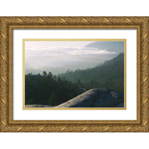 Peace and Tranquility Gold Ornate Wood Framed Art Print with Double Matting by Stewart, Wil