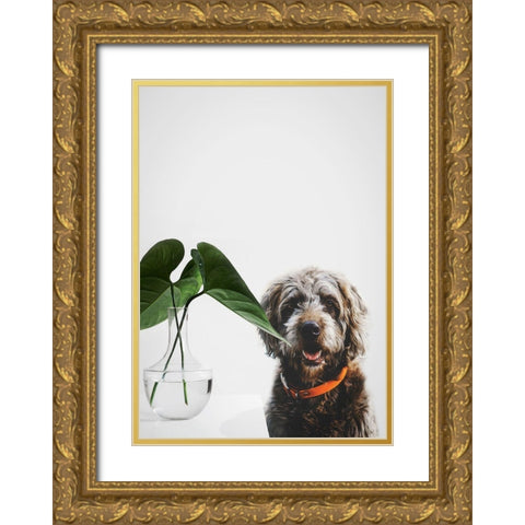 Dog Posing Gold Ornate Wood Framed Art Print with Double Matting by SD Graphics Studio
